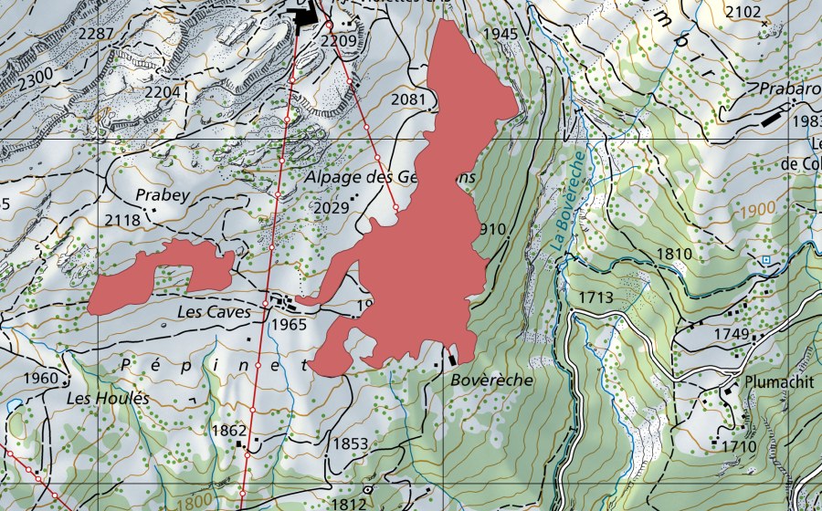 swisstopo national map showing the protected perimeter of Alpage des Génissons (Dry meadow)
