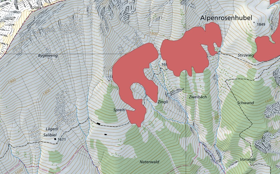 Carta nazionale swisstopo con il perimetro protetto di Alpenrosenhubel (Prato secco)