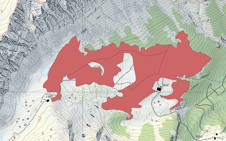 swisstopo national map showing the protected perimeter of Alpetli (Dry meadow)