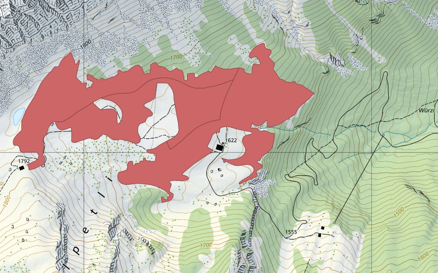 Landeskarte swisstopo mit dem Schutzperimeter von Alpetli (Trockenwiese)