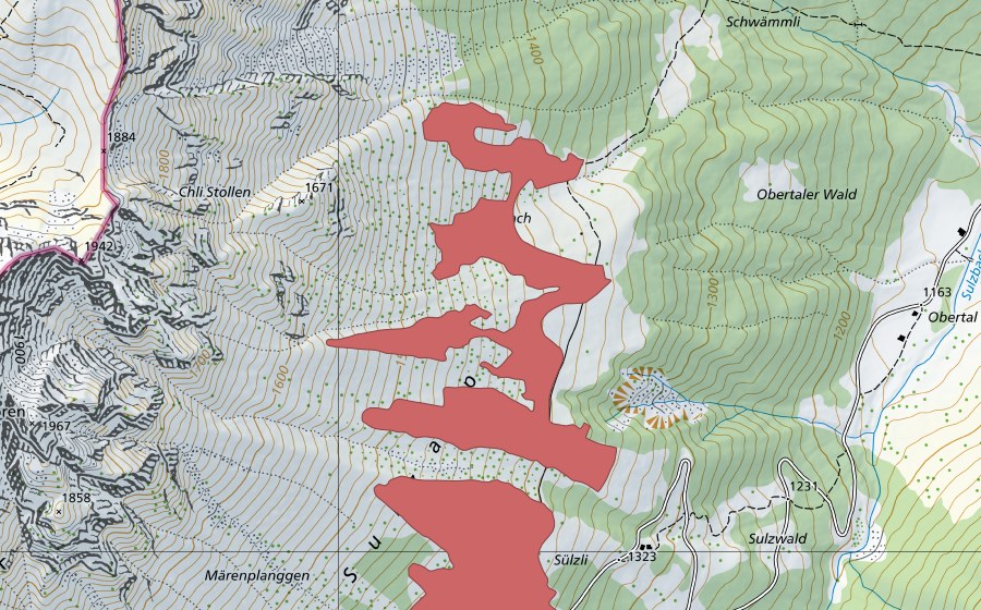 swisstopo national map showing the protected perimeter of Alpgmach (Dry meadow)