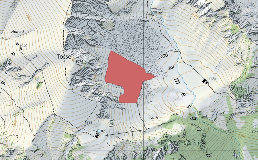 Landeskarte swisstopo mit dem Schutzperimeter von Alplige (Trockenwiese)