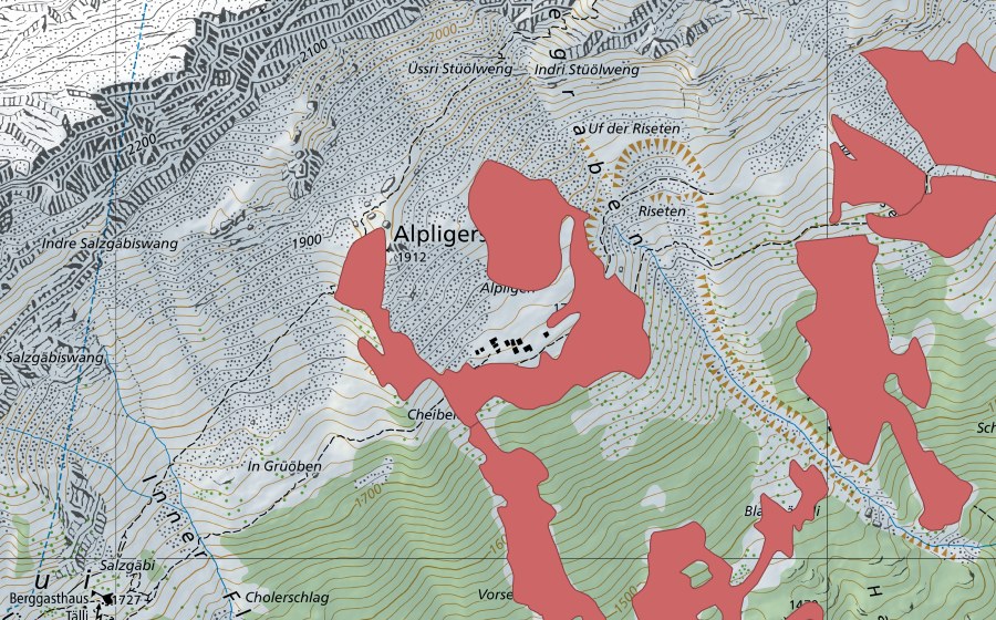 swisstopo national map showing the protected perimeter of Alpligen (Dry meadow)