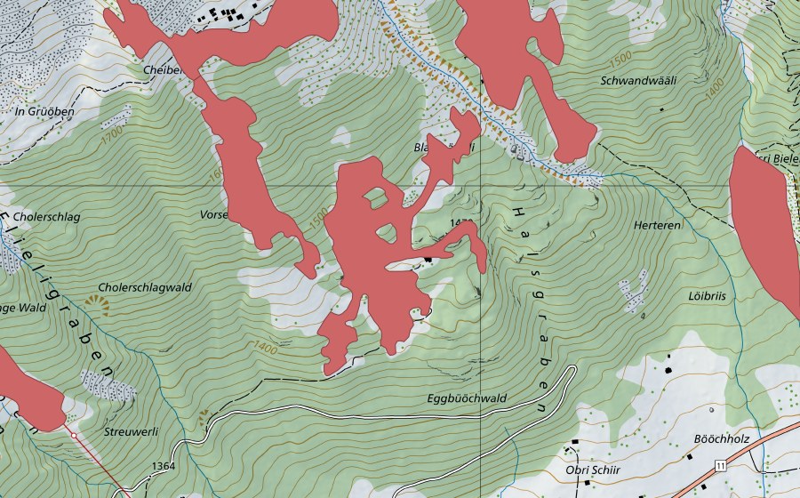 swisstopo national map showing the protected perimeter of Alpligen (Dry meadow)