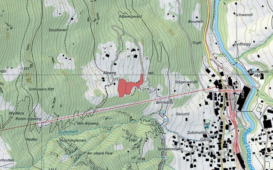 swisstopo national map showing the protected perimeter of Alpweg (Dry meadow)
