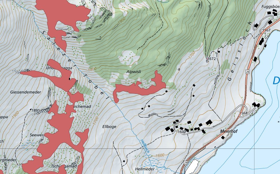 Landeskarte swisstopo mit dem Schutzperimeter von Alpwisli (Trockenwiese)