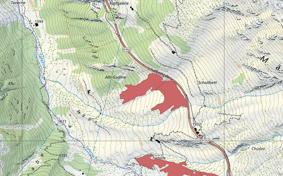swisstopo national map showing the protected perimeter of Alti Gadme (Dry meadow)