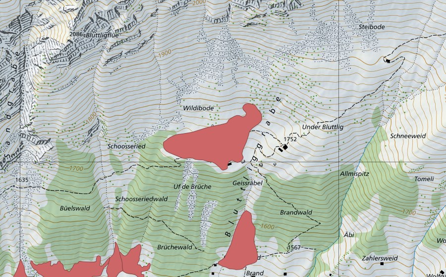Landeskarte swisstopo mit dem Schutzperimeter von Am Undere Bluttlig (Trockenwiese)