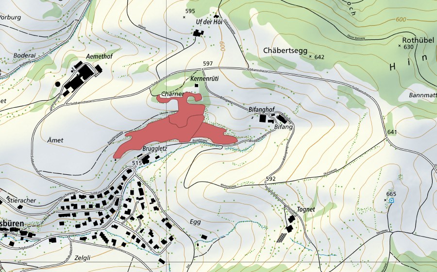 Landeskarte swisstopo mit dem Schutzperimeter von Ämet (Trockenwiese)