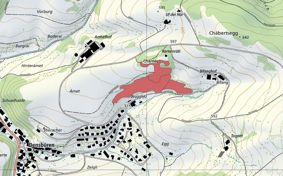 swisstopo national map showing the protected perimeter of Ämet (Dry meadow)