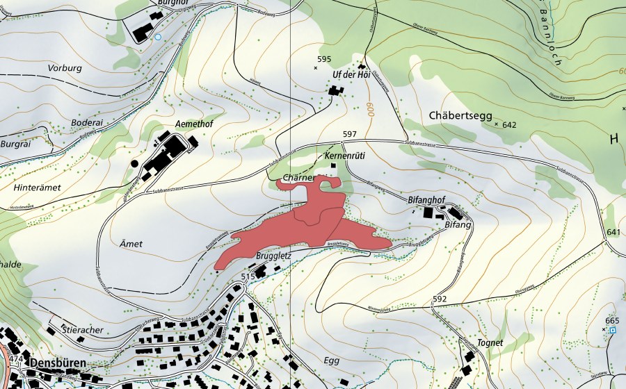 Landeskarte swisstopo mit dem Schutzperimeter von Ämet (Trockenwiese)
