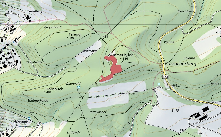 Carte nationale swisstopo avec le périmètre protégé de Ämmeribuck (Prairie sèche)