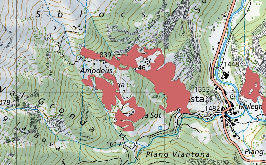 Landeskarte swisstopo mit dem Schutzperimeter von Amodeus (Trockenwiese)
