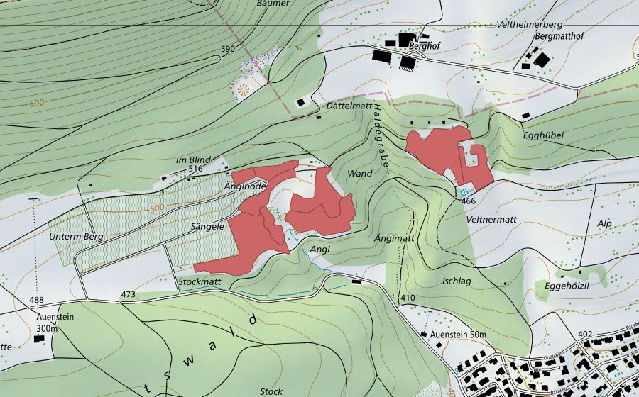 Landeskarte swisstopo mit dem Schutzperimeter von Ängi (Trockenwiese)