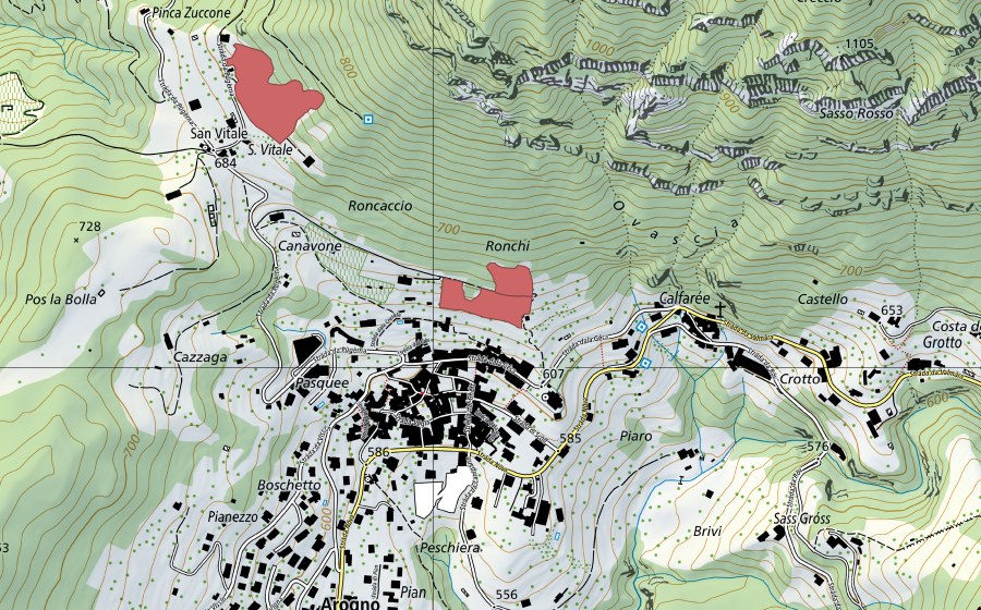 Landeskarte swisstopo mit dem Schutzperimeter von Arogno (Trockenwiese)