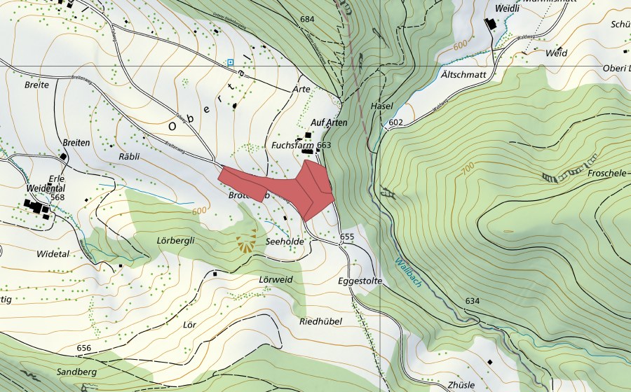 Landeskarte swisstopo mit dem Schutzperimeter von Arten (Trockenwiese)