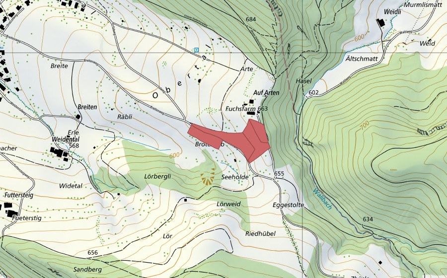 swisstopo national map showing the protected perimeter of Arten (Dry meadow)