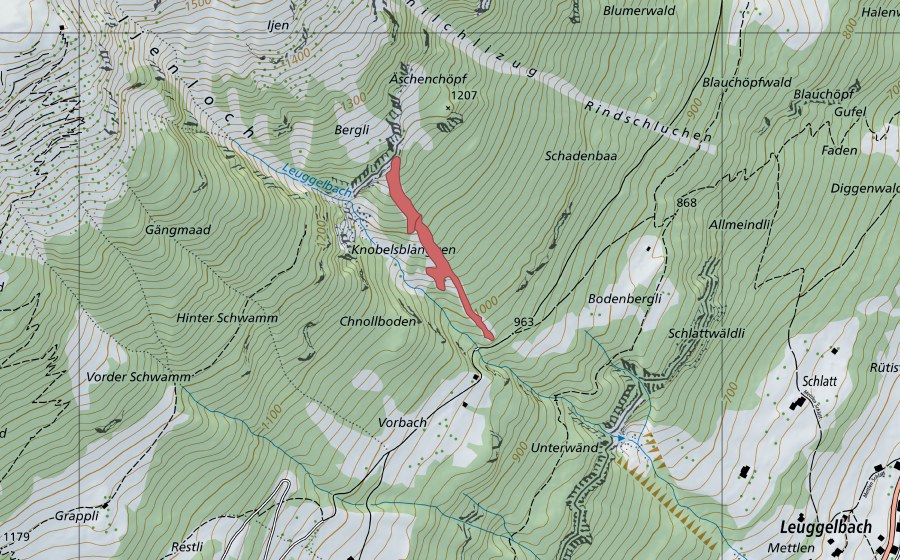 swisstopo national map showing the protected perimeter of Äschenchöpf (Dry meadow)