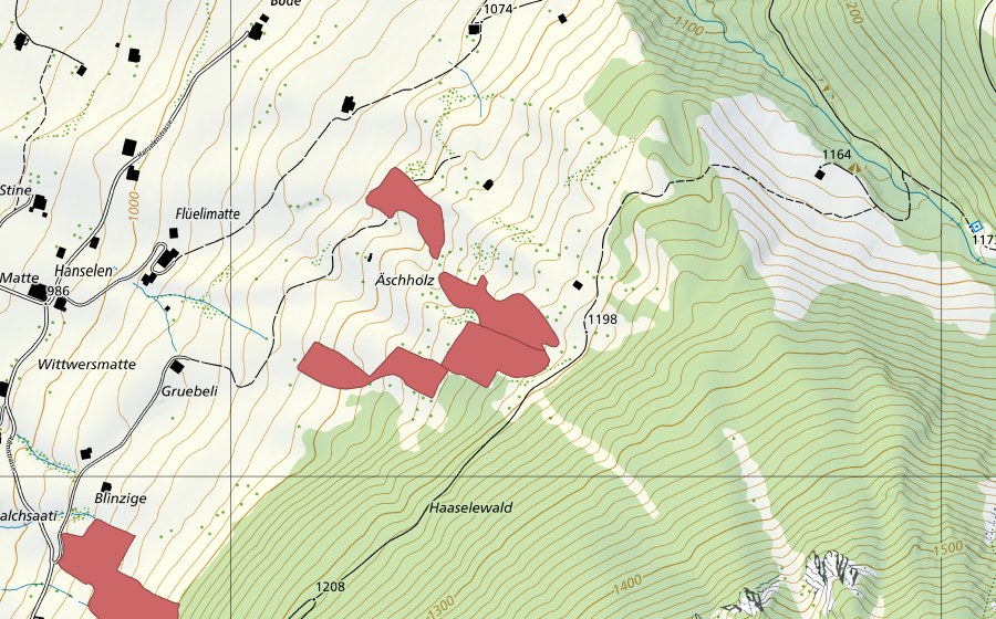Landeskarte swisstopo mit dem Schutzperimeter von Äschholz (Trockenwiese)