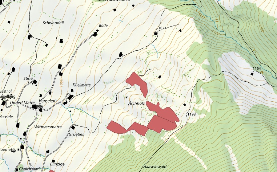 swisstopo national map showing the protected perimeter of Äschholz (Dry meadow)