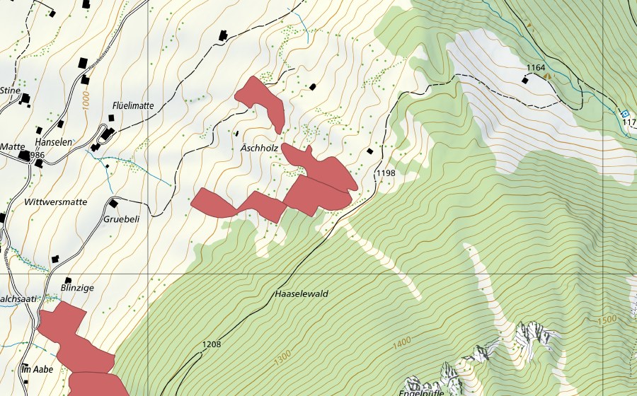 Landeskarte swisstopo mit dem Schutzperimeter von Äschholz (Trockenwiese)