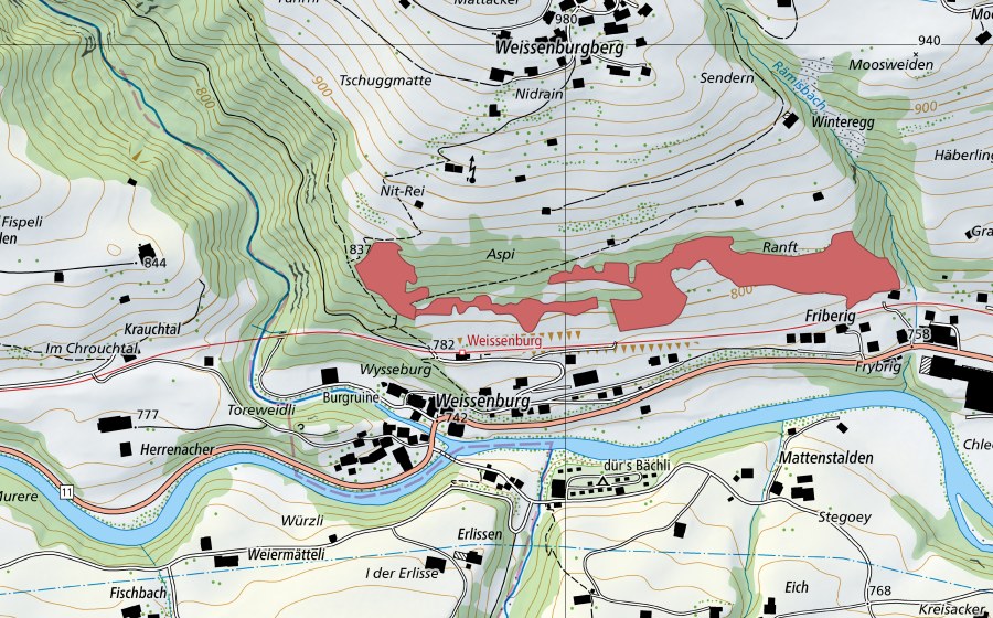 swisstopo national map showing the protected perimeter of Aspi (Dry meadow)