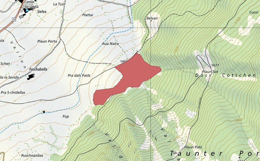 swisstopo national map showing the protected perimeter of Aua Naira (Dry meadow)