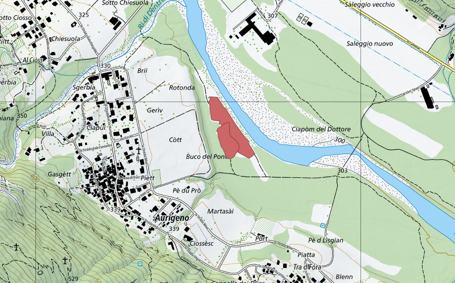 swisstopo national map showing the protected perimeter of Aurigeno (Dry meadow)