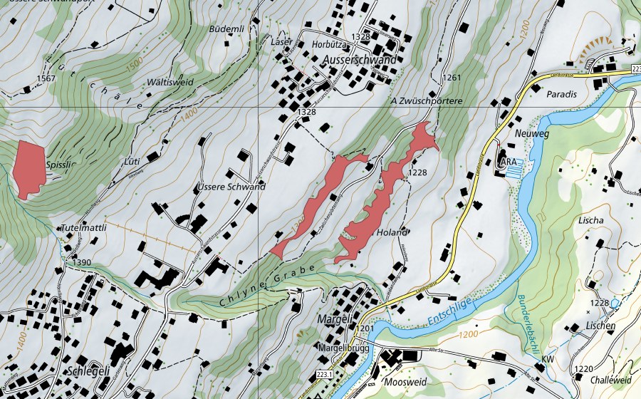 swisstopo national map showing the protected perimeter of Ausser Schwand (Dry meadow)