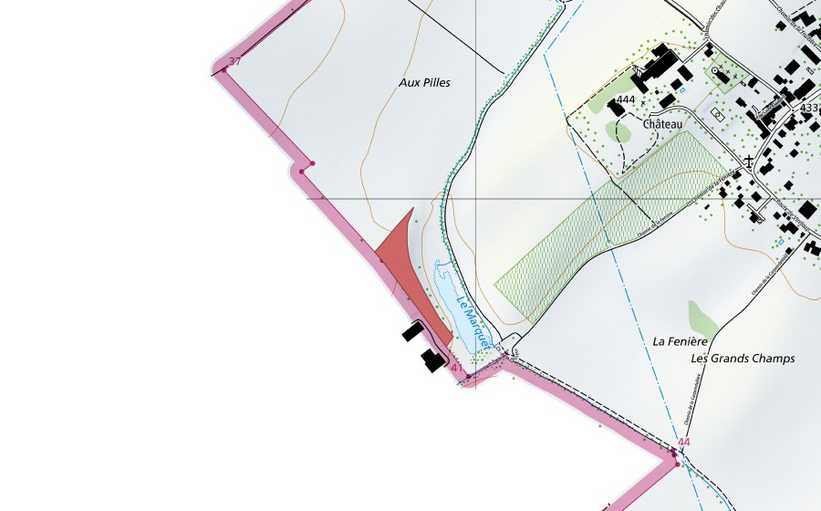 swisstopo national map showing the protected perimeter of Aux Pilles (Dry meadow)