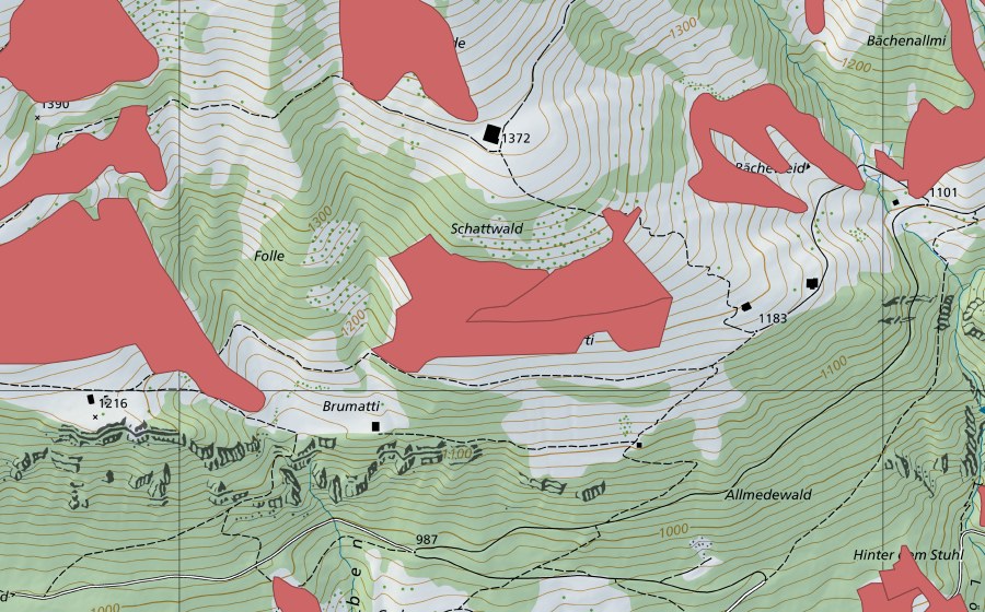 Landeskarte swisstopo mit dem Schutzperimeter von Bächenallmi (Trockenwiese)