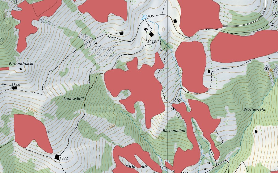 swisstopo national map showing the protected perimeter of Bächenallmi (Dry meadow)