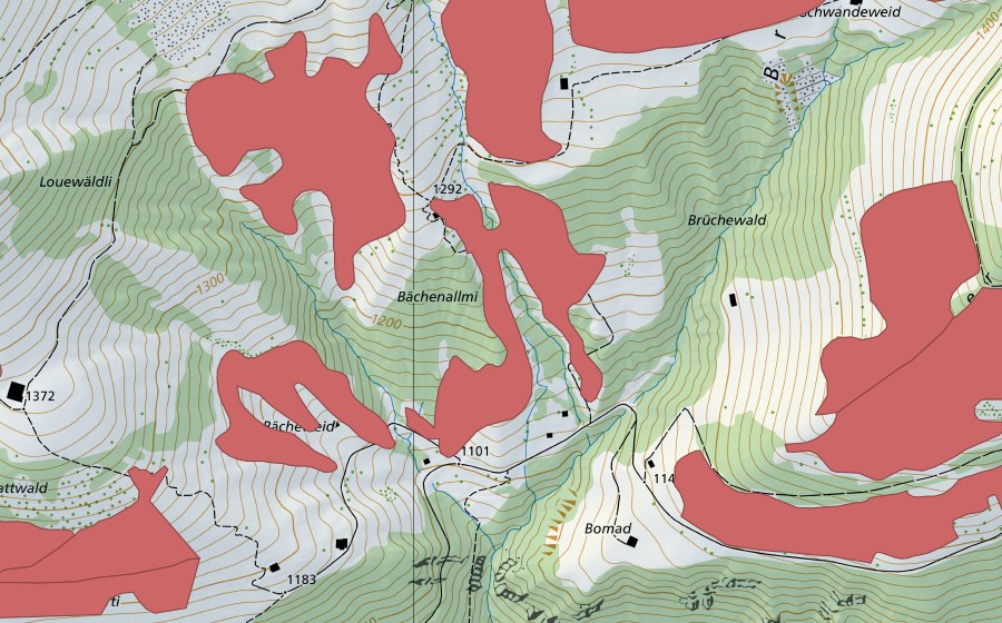 Carte nationale swisstopo avec le périmètre protégé de Bächenallmi (Prairie sèche)