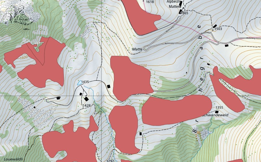 swisstopo national map showing the protected perimeter of Bächenallmi (Dry meadow)