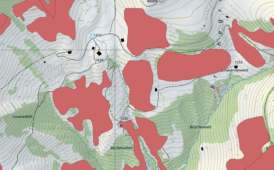 swisstopo national map showing the protected perimeter of Bächenallmi (Dry meadow)