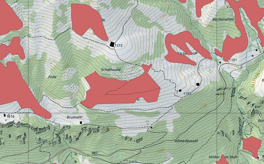 swisstopo national map showing the protected perimeter of Bächenallmi (Dry meadow)