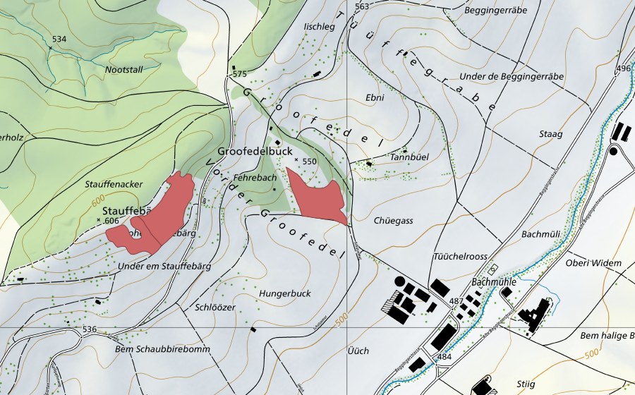 swisstopo national map showing the protected perimeter of Bachmüli (Dry meadow)