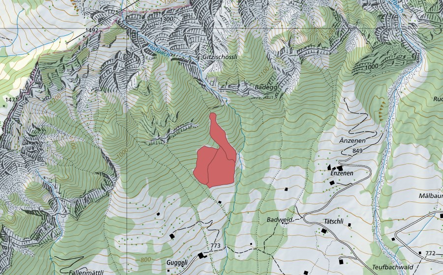 Carte nationale swisstopo avec le périmètre protégé de Badegg (Prairie sèche)