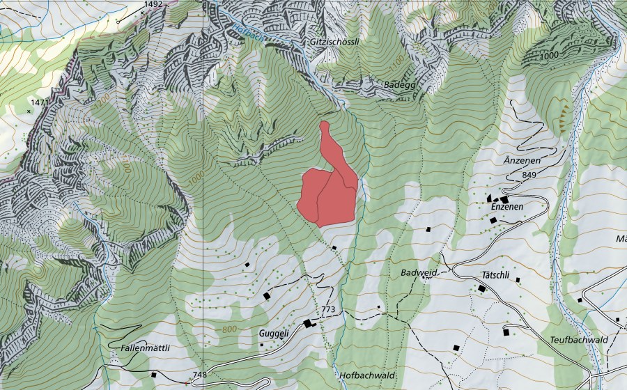 swisstopo national map showing the protected perimeter of Badegg (Dry meadow)