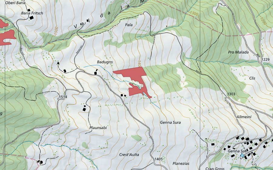 Landeskarte swisstopo mit dem Schutzperimeter von Badugns (Trockenwiese)