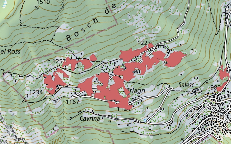 swisstopo national map showing the protected perimeter of Bald (Dry meadow)