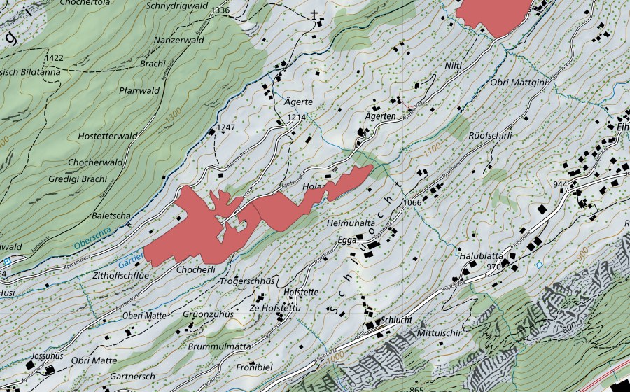 Carte nationale swisstopo avec le périmètre protégé de Baletscha (Prairie sèche)
