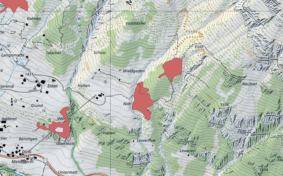 Landeskarte swisstopo mit dem Schutzperimeter von Balmen (Trockenwiese)