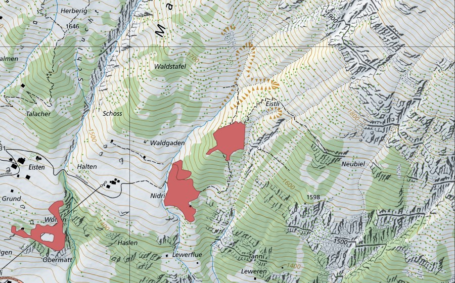 Landeskarte swisstopo mit dem Schutzperimeter von Balmen (Trockenwiese)