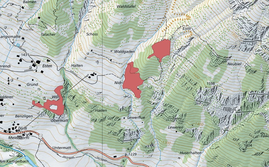 Carta nazionale swisstopo con il perimetro protetto di Balmen (Prato secco)