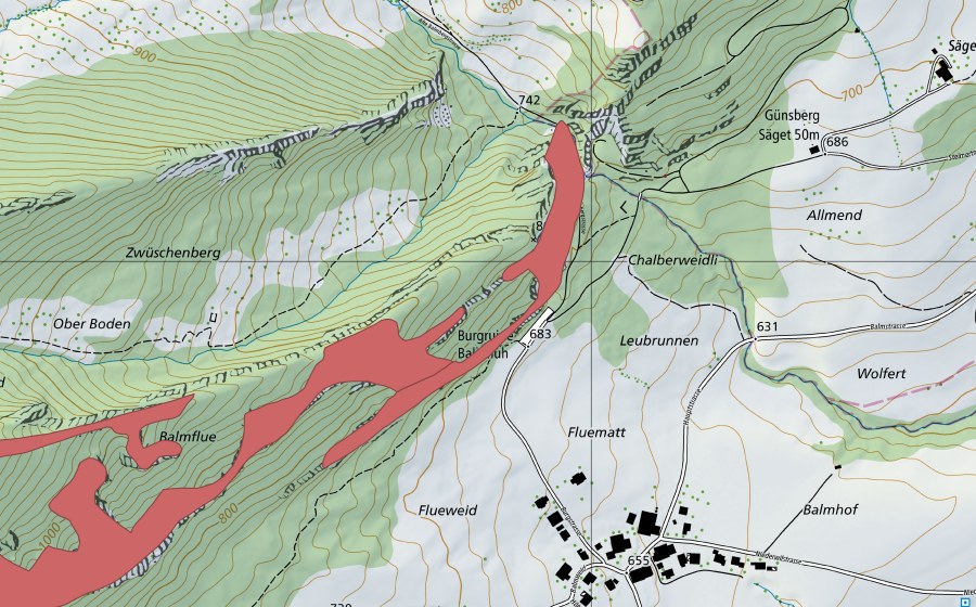 swisstopo national map showing the protected perimeter of Balmflue (Dry meadow)