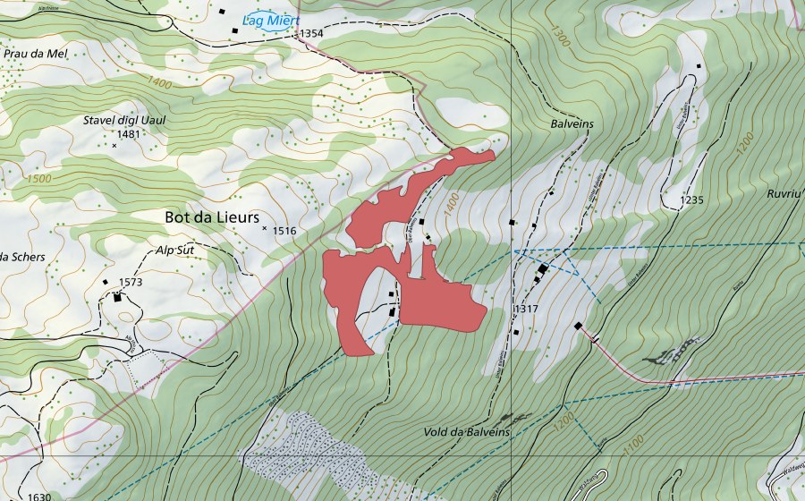 Carte nationale swisstopo avec le périmètre protégé de Balveins (Prairie sèche)