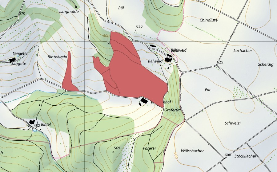 Landeskarte swisstopo mit dem Schutzperimeter von Bälweid (Trockenwiese)