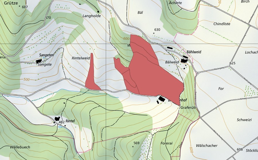 swisstopo national map showing the protected perimeter of Bälweid (Dry meadow)