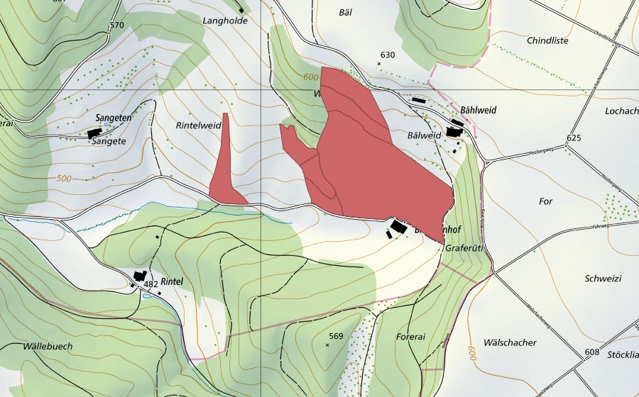 swisstopo national map showing the protected perimeter of Bälweid (Dry meadow)